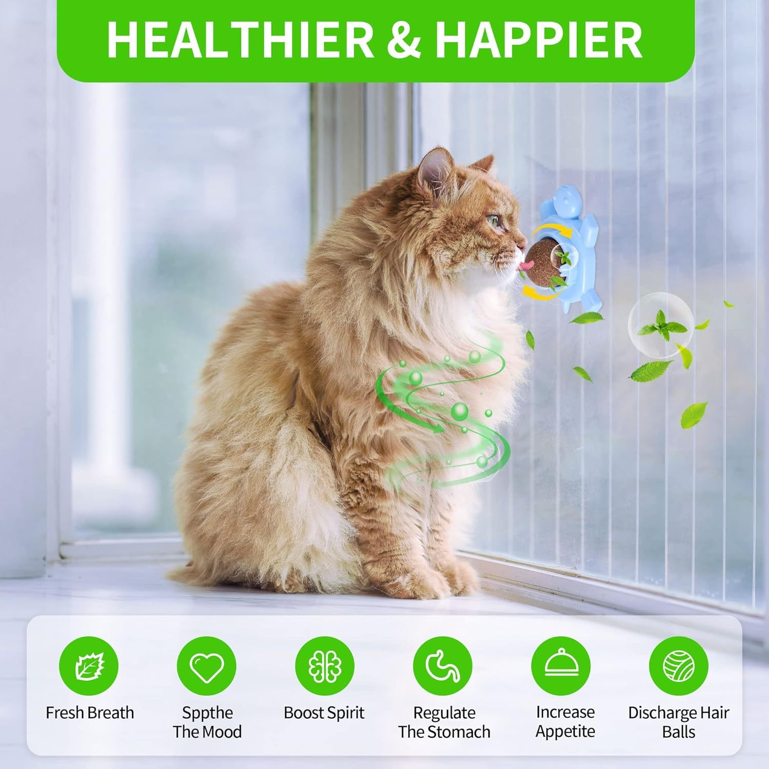 Organic Catnip Balls – Fun & Healthy Play for Cats