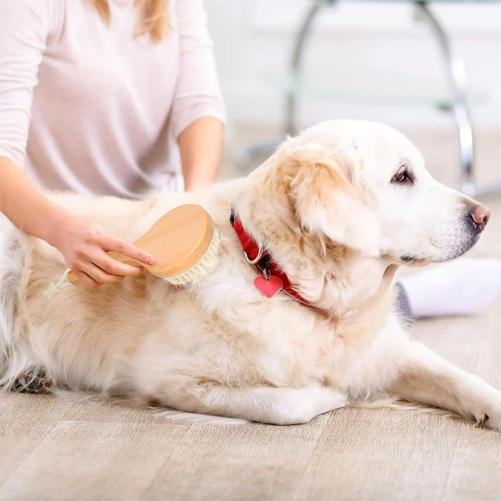 Natural Bristle Grooming Brush – Relaxing Bath Time